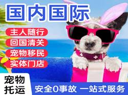 大水泊航空货运国际宠物托运 【国
